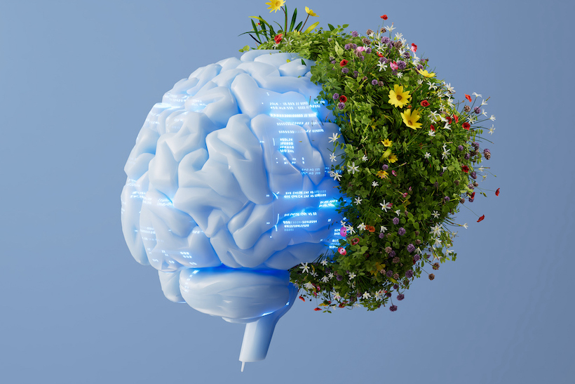 CGI AI sustainable brain concept, half is silicone white, half is sprouting greenery and flowers