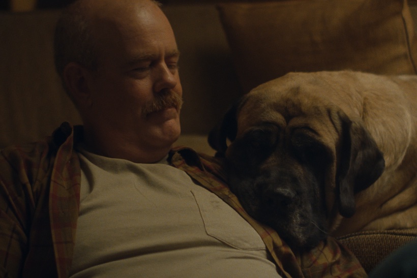 Screen shot of man on couch with dog from The Farmer’s Dog campaign